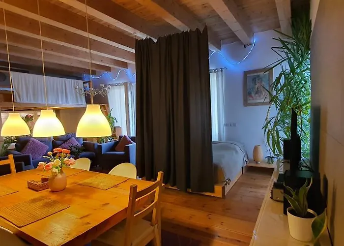 宾馆 An Der Elsterbruecke 柏林