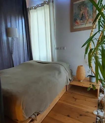 宾馆 An Der Elsterbruecke *