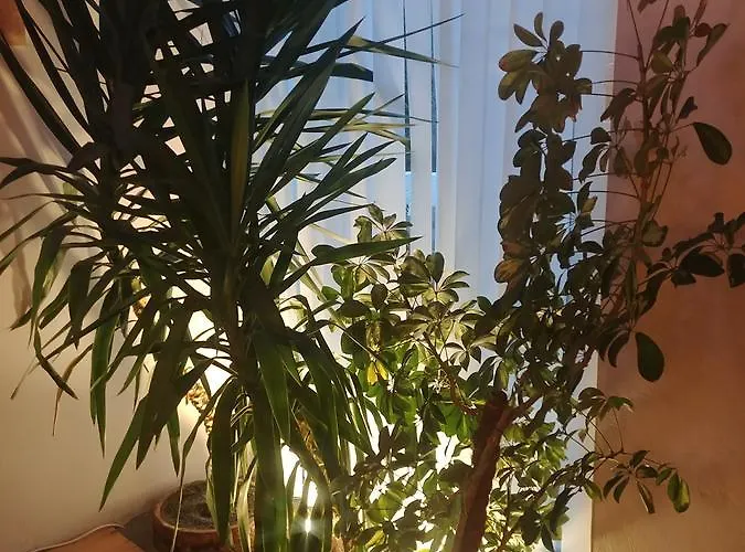 An Der Elsterbrücke