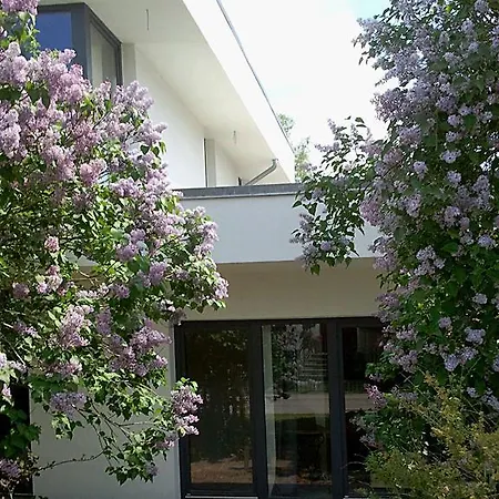 An Der Elsterbrücke Gasthof Berlin