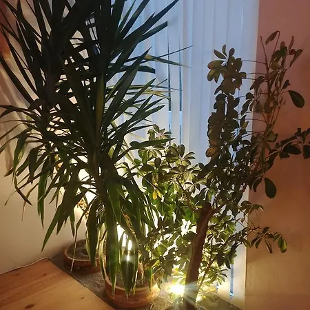 An Der Elsterbrücke